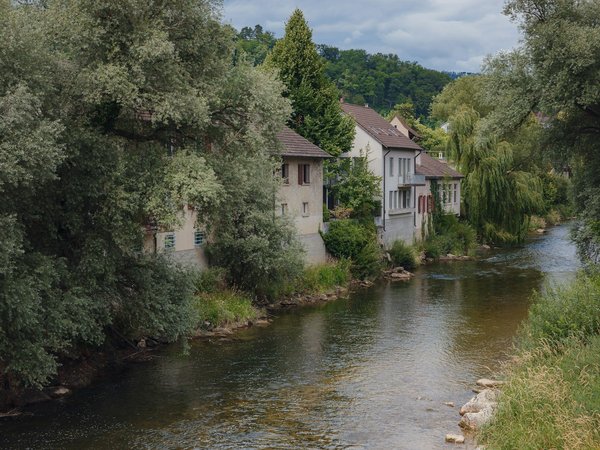 Welche Hunderassen eignen sich am besten zum Laufen?